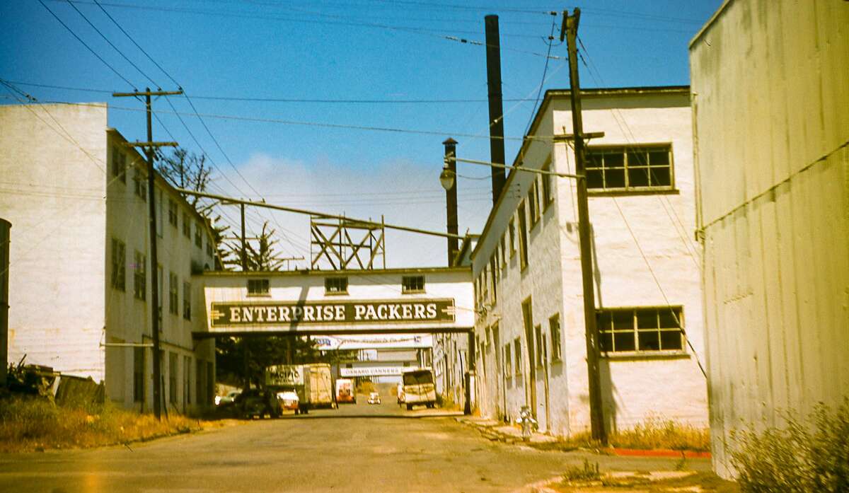 Rare color photos capture mid-century life in the Bay Area