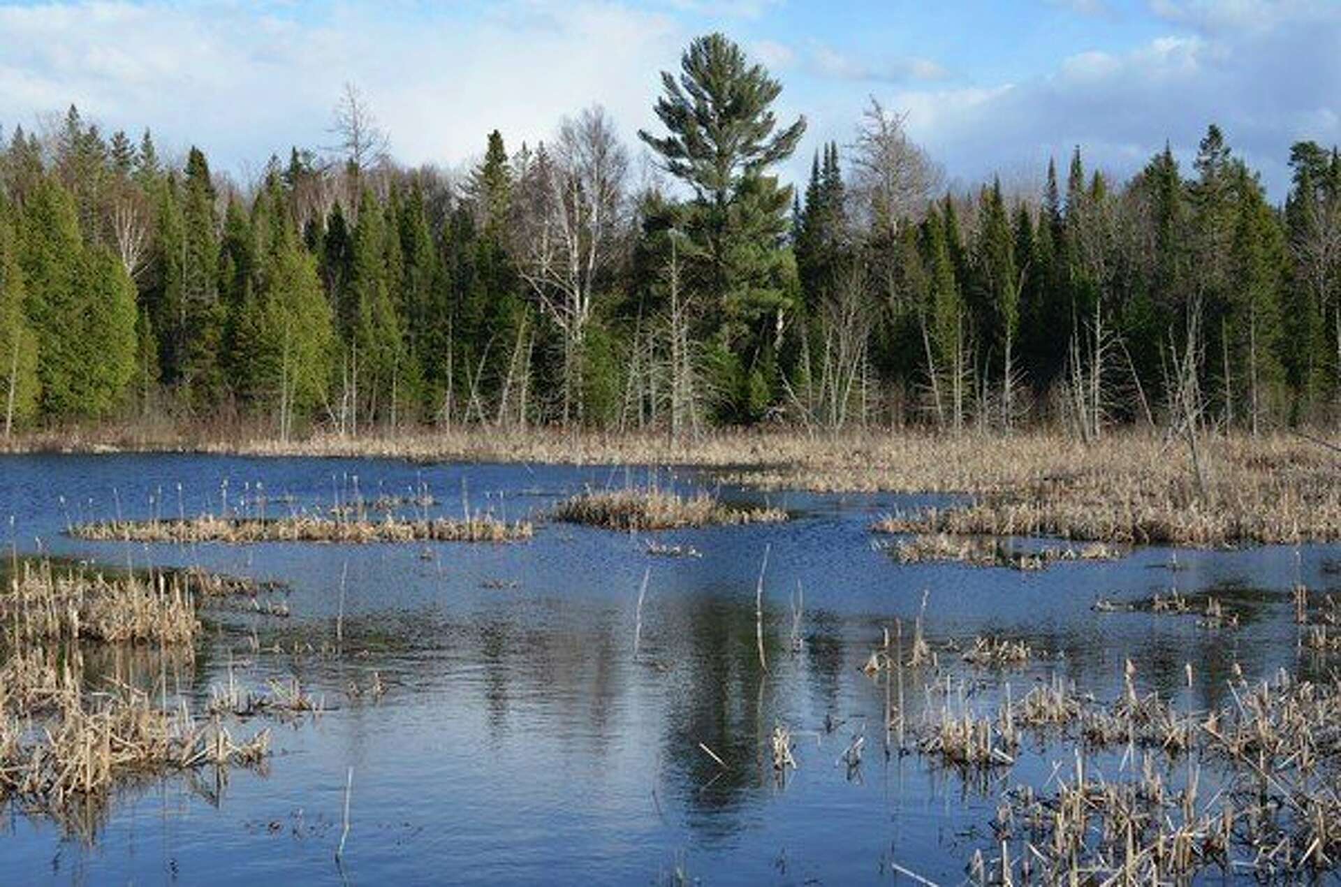 Michigan Wetland Management District