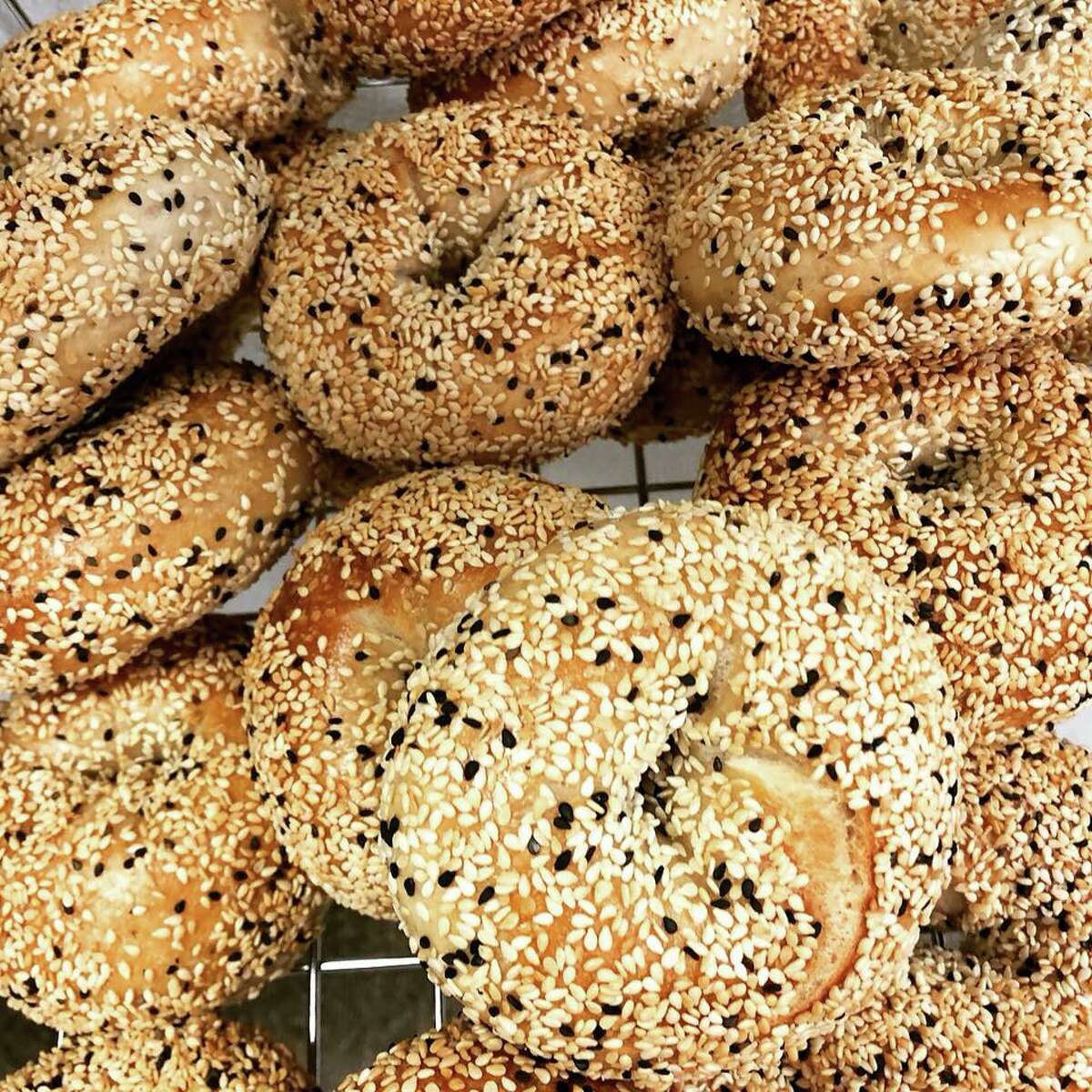 Are the best bagels in Houston now in the Heights?