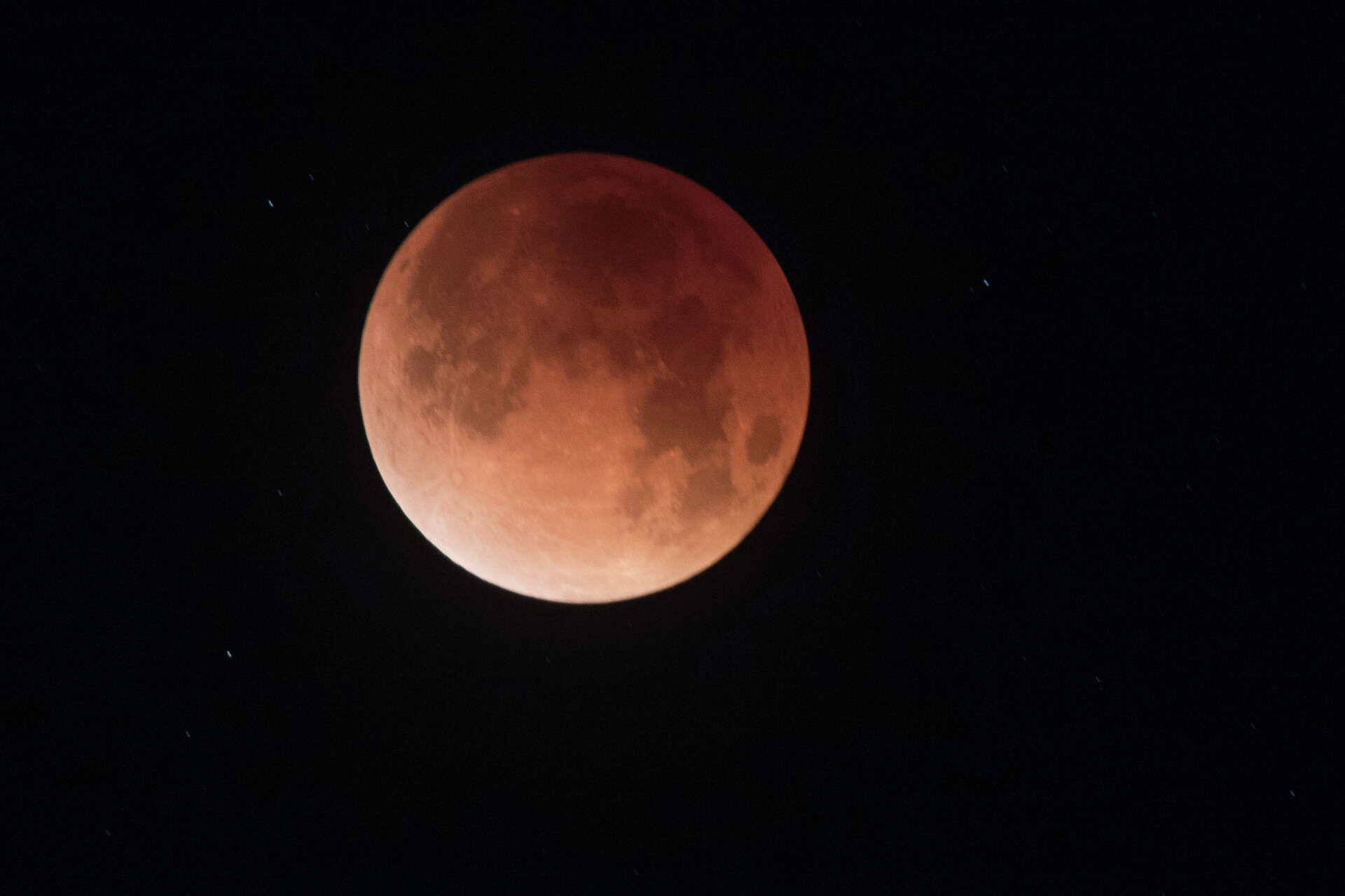 Super blue blood moon brings out Bay Area eclipse fans