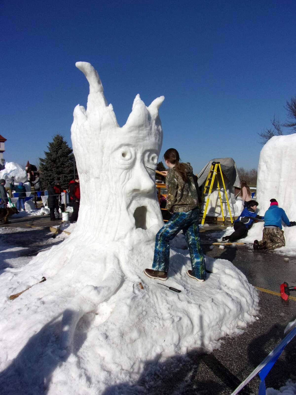 Crowds gathered to witness ice and snow sculptures being designed at last weekend's 2018 Zehnder's Snowfest.