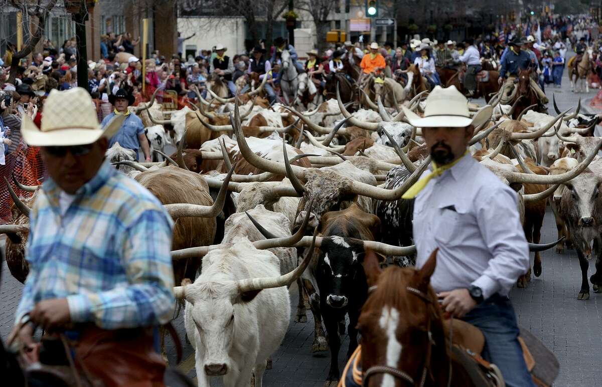 Western Heritage Parade & Cattle Drive brings out the longhorns