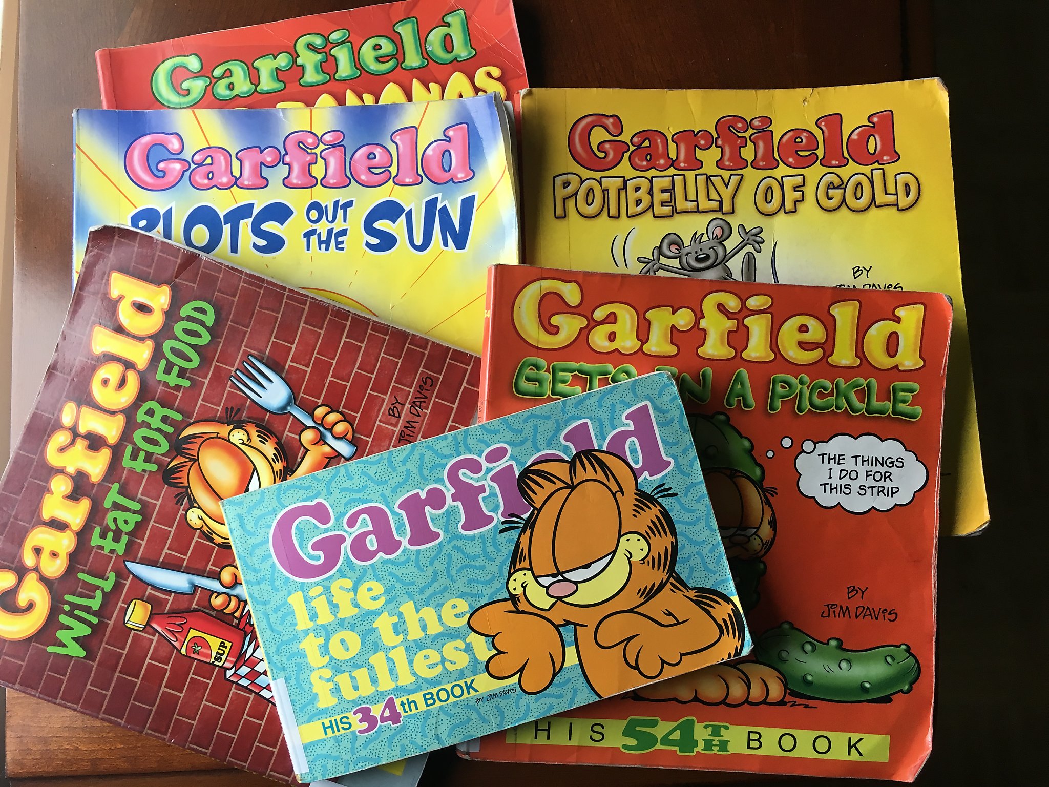 Garfield Minus Garfield Book