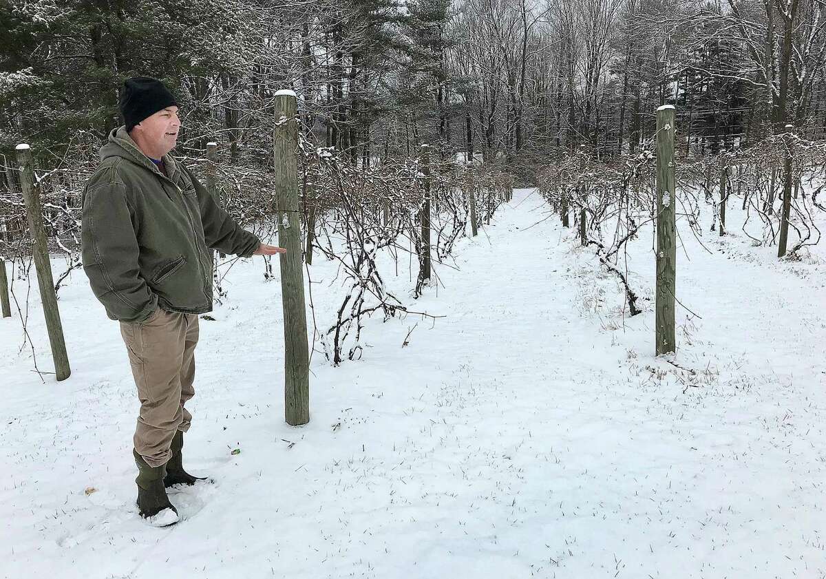 Mark Langford, business manager of DiGrazia Vineyards, stands at the edge of the winery's onsite vineyard in Brookfield, Conn., on Tuesday, Jan. 30, 2018. DeGrazia Vineyards is converting this area into an organic vineyard.