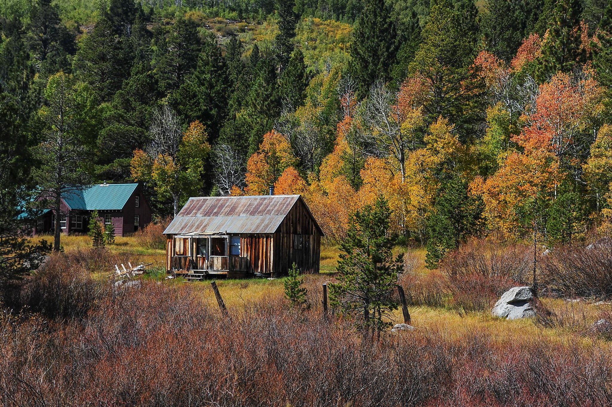 Fall colors ignite; Point Reyes Light, e-bikes, Sierra snow
