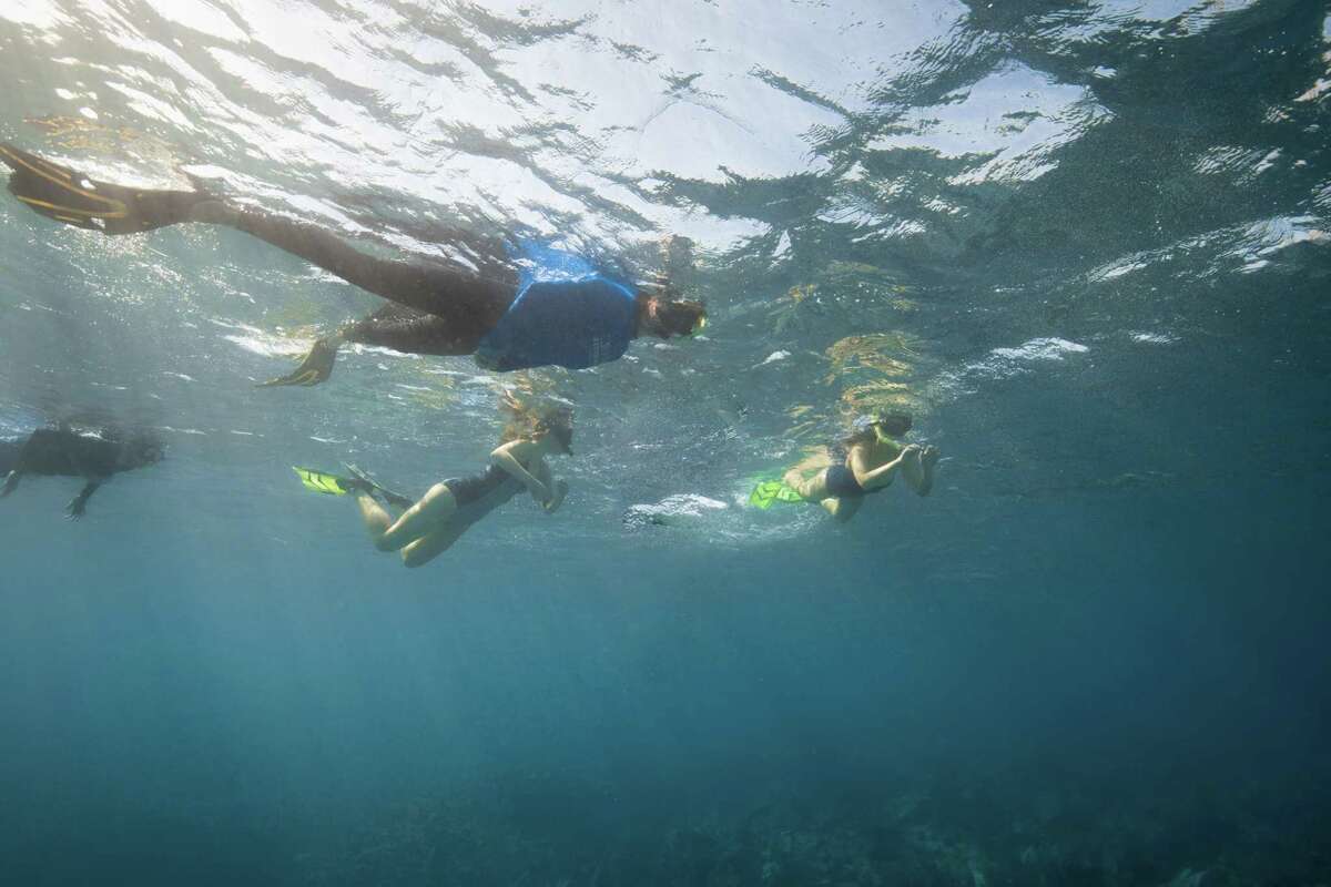 While on a class trip to learn about coral reef restoration for Henry Hittle’s Stanwich School Moral Leadership Project, “Cool Coral,” his 12 classmates snorkeled with CRF staff to learn more about the reefs.
