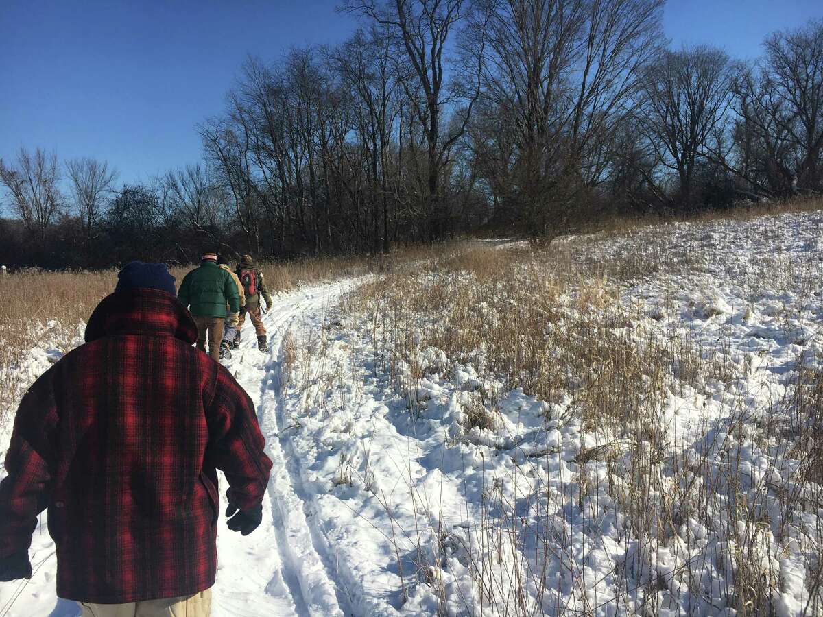 A group of “citizen scientists” assisted the Steep Rock Association with a pellet survey of the Macricostas Preserve in Washington, Conn. in search of New England cottontail rabbits.