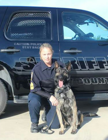 New K 9 Joins Liberty County Sheriff S Office Houston Chronicle