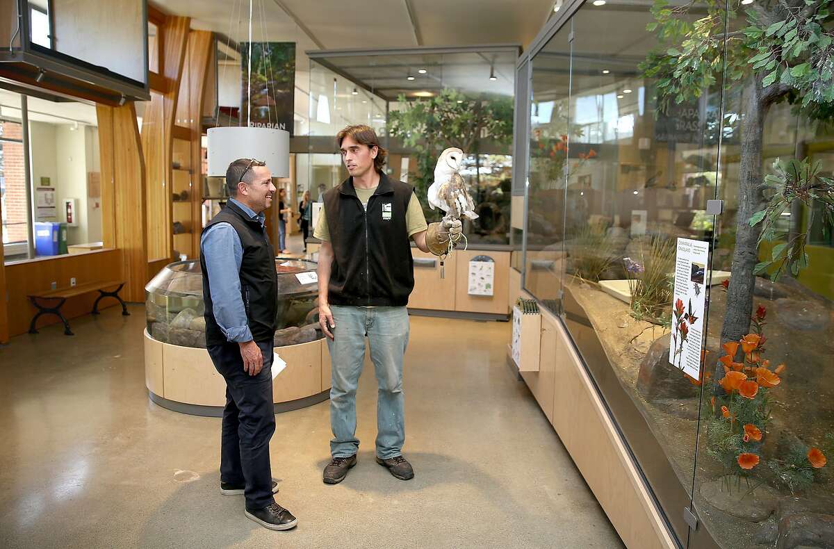 Animal keeper Dominik Mosur (middle) shows an owl to Phil Ginsberg (left), director of the Rec and Park visiting the Wild in California animal exhibit at Randall Museum on Tuesday, February 6, 2018, in San Francisco, Ca.