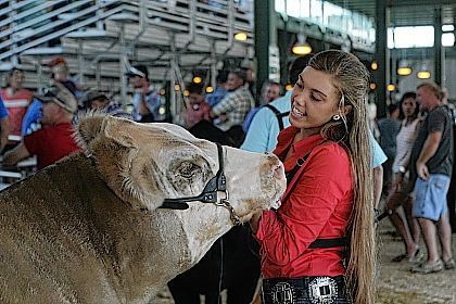 Thursday, August 12: Here's what to do at the Illinois State Fair - Vimarsana News