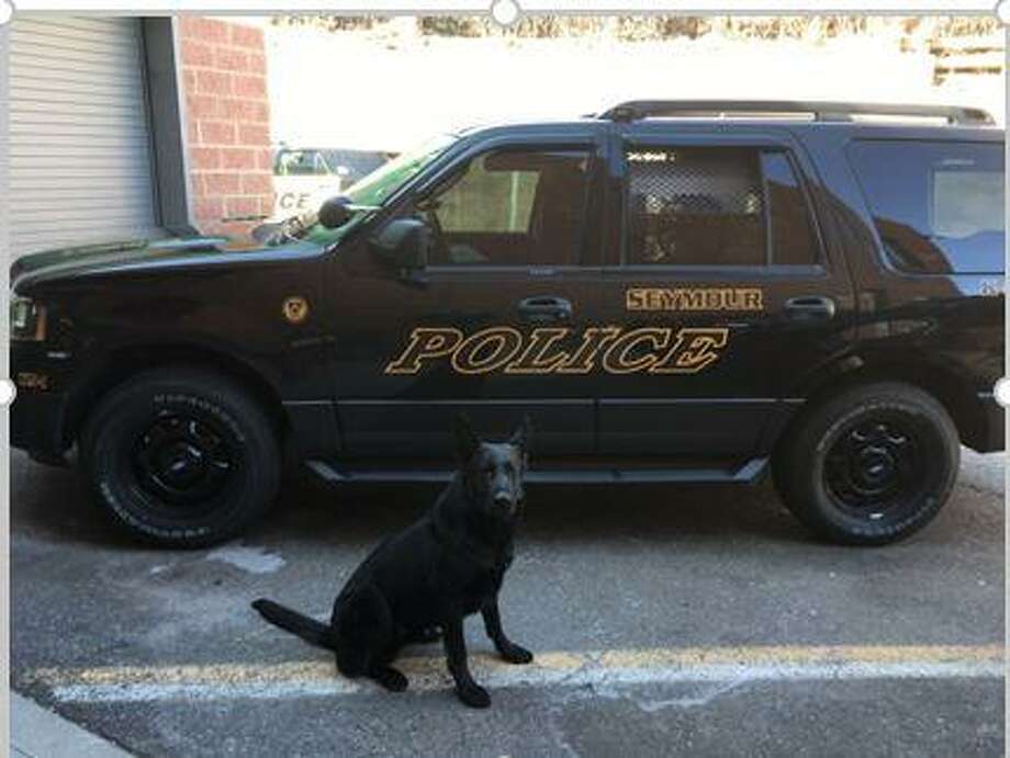 Seymour Police Department’s crimefighting canines to get protective