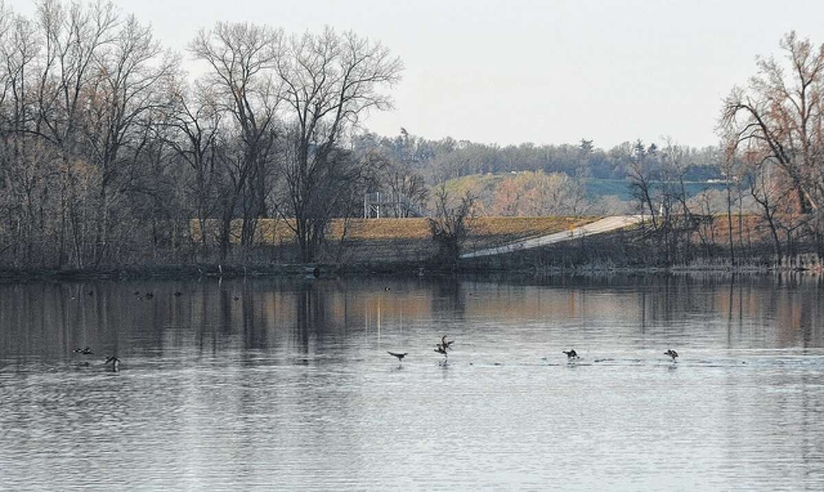 Birds skip along the water in Pike County.