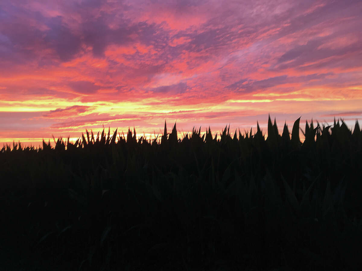 The nighttime sky fills with color over a field near Jacksonville.