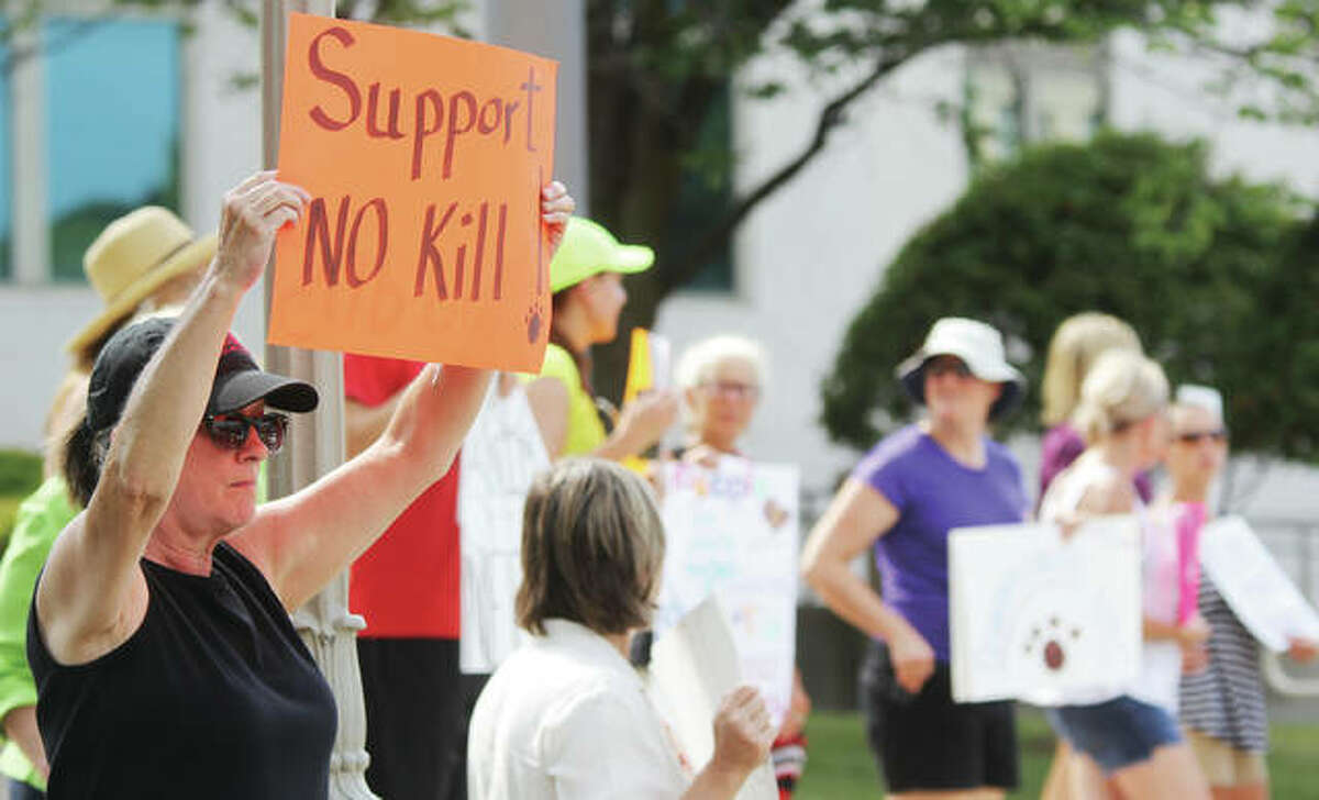 People show support for a “no-kill” policy at Madison County’s Animal Control Department during a protest Wednesday of the euthanasia of several dogs that pet rescue agencies had been interested in. About 40 people came out to the Madison County Board meeting Wednesday to protest, and three people spoke on the issue at the meeting.