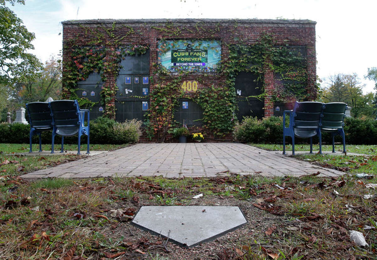 Ivy Outfield-Wrigley Field-Chicago by Dale Chapel