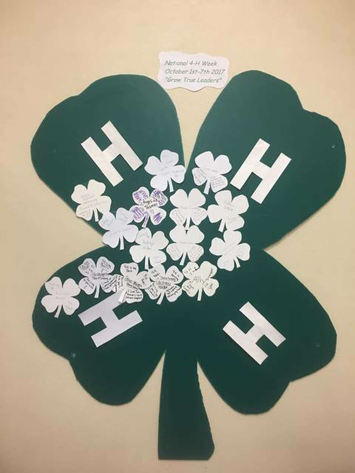 Town and Country 4-H Club’s activities this week include a glass case display at the Bethalto Public Library, 321 S. Prairie St., where four-leaf clovers feature four statements of what members — past or present — value through 4-H; and displays of a big 4-H green clover on social media pages.