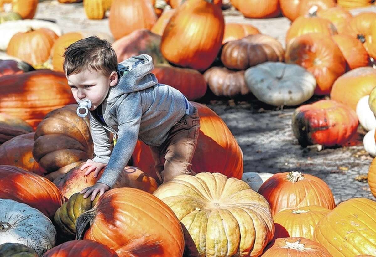 Ryland Schultz, 2, climbs over several pumpkins at Bengtson’s Pumpkin Farm in Homer Glen.