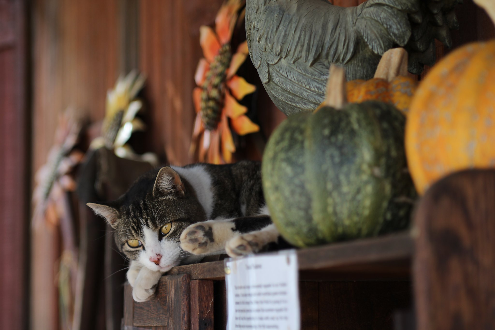 5 free (or really cheap) things to do in Paso Robles - SFGATE