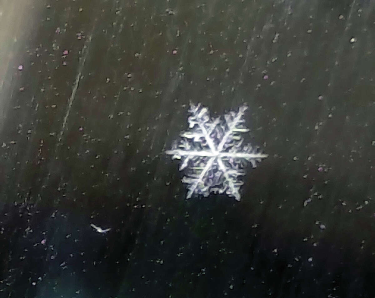 A single snowflake presses against the glass as snow falls in Winchester.