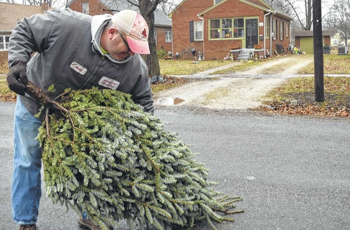 Rich Hymes of the Jacksonville Street Department picks up a Christmas tree Tuesday as part of the city’s annual collection of Christmas trees. Trees can still be taken to the street department from 8 a.m. to 4:30 p.m. through Friday for disposal.