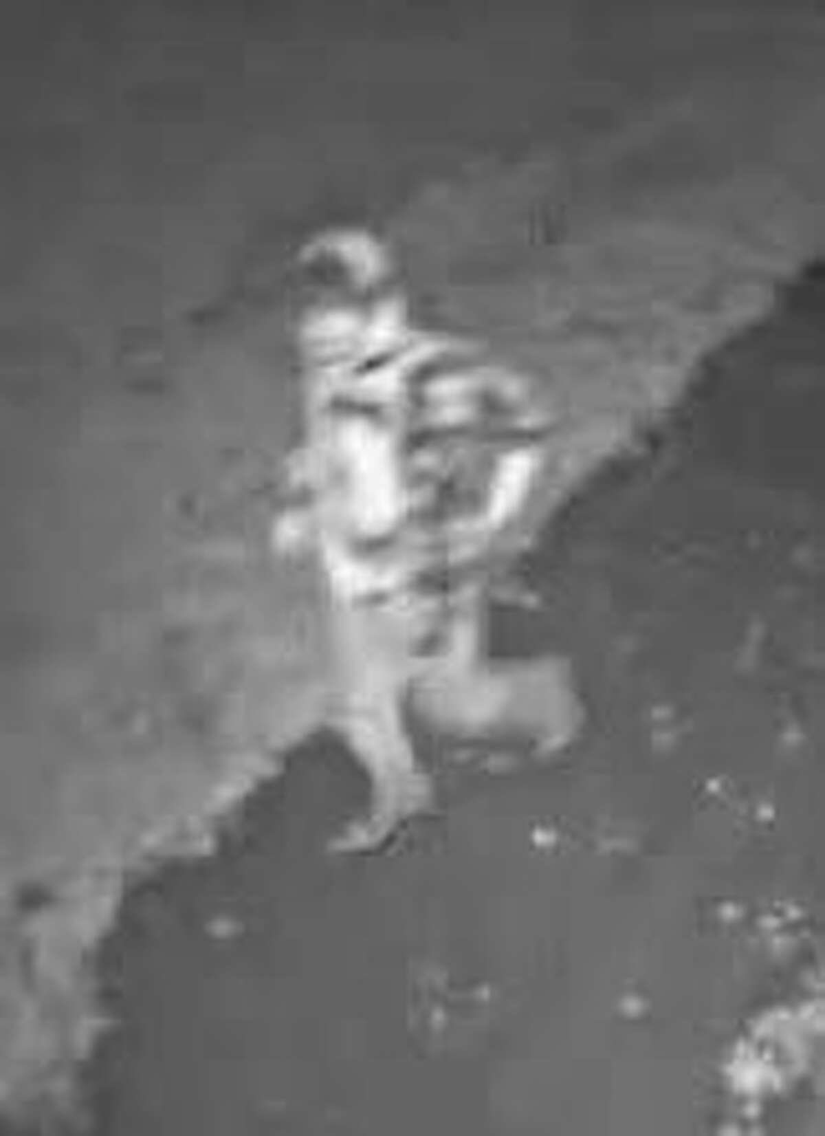 Surveillance photos of the suspected burglar.
