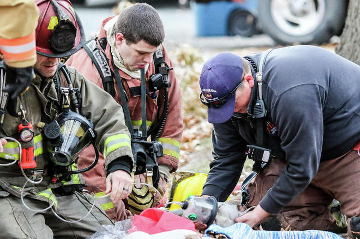 With a look of concern, South Roxana firefighter Colin Holder works to resuscitate a young pit bull, the victim Saturday of a fire sparked inside a trailer at 213 Illinois Ave. in South Roxana. He was successful, but the dog remained unconscious when taken to an animal hospital. Two other dogs, which approximately a dozen firefighters from multiple area departments attempted to save, were inured beyond life-saving methods.