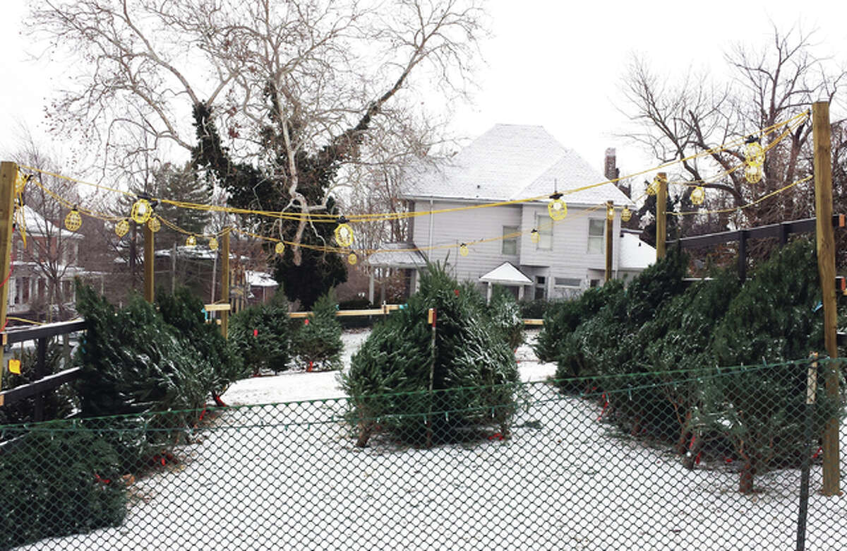 The tree lot, directly across from Saints Peter and Paul Catholic Church on State Street in Alton, will be full of selections in all shapes and sizes to make the perfect Christmas tree.