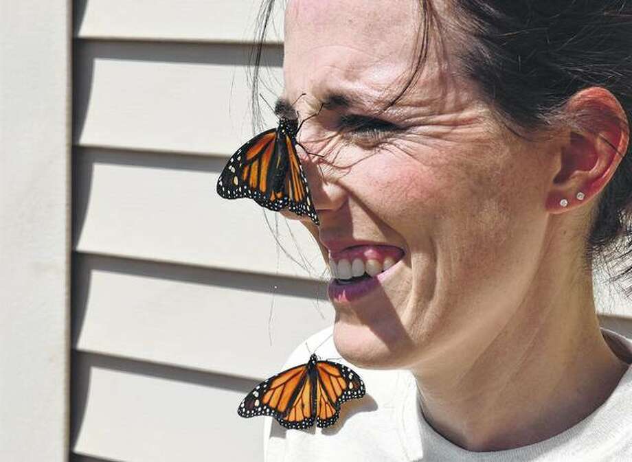Butterflies are free Teachers get firstwing knowledge about