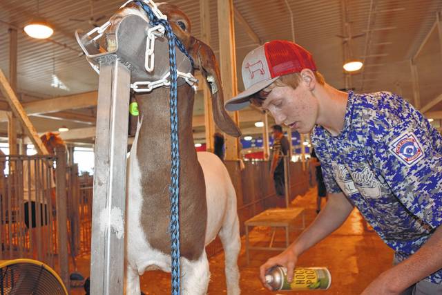 Monday, Aug. 16: Here's what to do at the Illinois State Fair - Vimarsana News