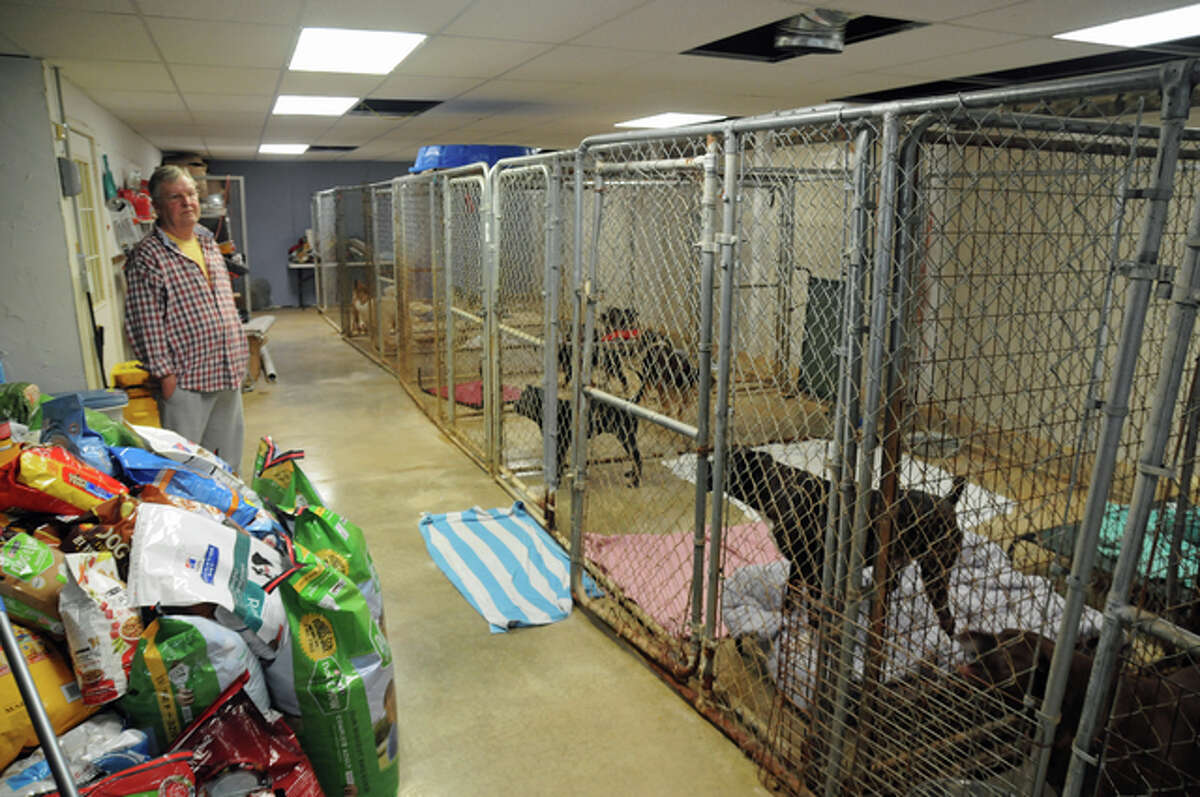 Riverbend Humane Society Director Hugh Stuart checks on some of the 30 dogs housed at their no-kill shelter in Jerseyville.