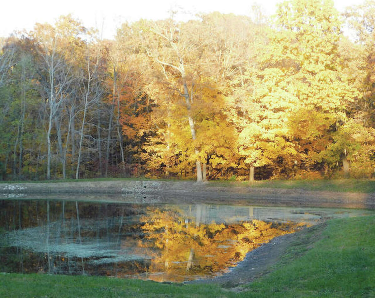 The beauty of autumn is reflected in a lake.