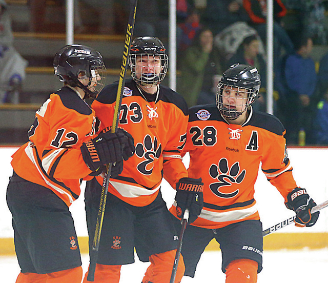 MIDSTATES PREP HOCKEY Backs to wall, Tigers advance to semifinals