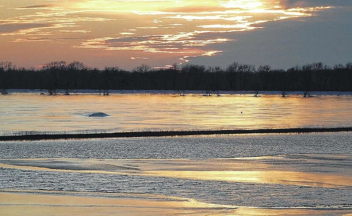 The sun reflects off flooded fields near Emiquon National Wildlife Refuge.
