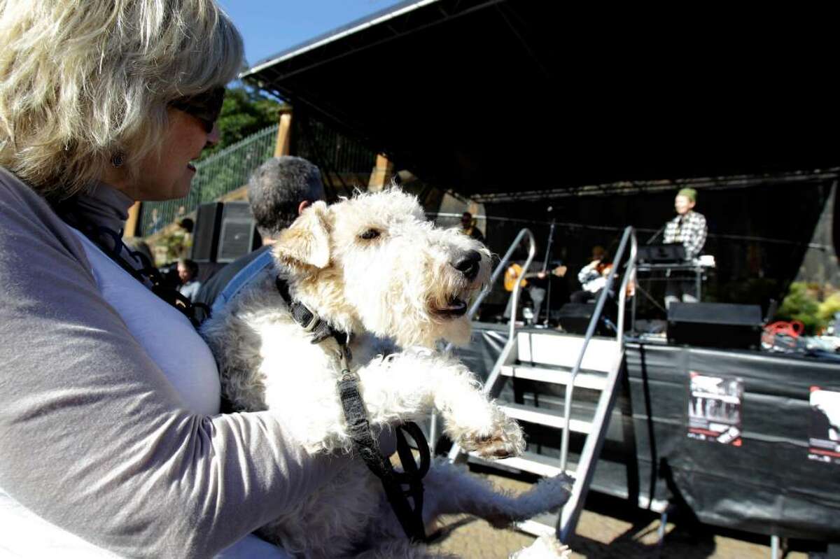 Daina Fletcher holds her 6-year-old terrier Lottie as dogs and their owners gather at the Sydney Opera House for a concert by performance artist Laurie Anderson in Sydney , Saturday, June 5, 2010. Anderson has composed a 20-minute work to create a shared experience for dogs and their owners. (AP Photo/Rick Rycroft)