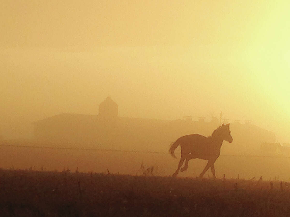 A horse enjoys a run on a farm west of Greenfield, oblivious to the thick layer of fog enveloping the area. Most of the region was under a fog advisory Tuesday evening into Wednesday morning as visibility dropped. (See reader-submitted photos on Page 8A.)