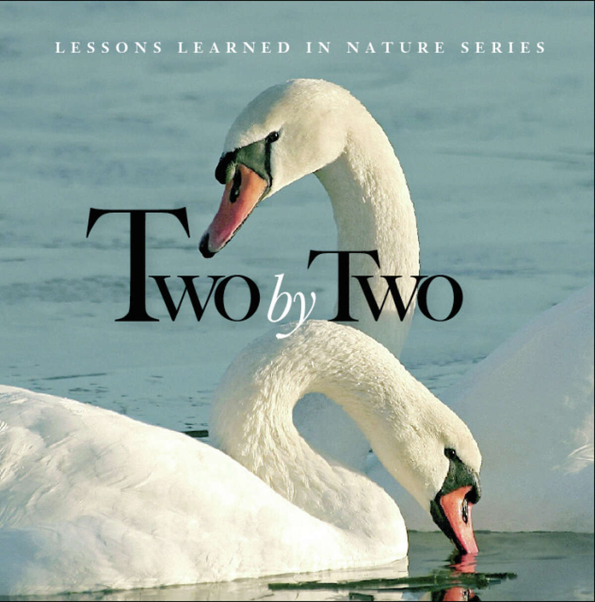 Other Lessons Learned in Nature Quotes for Life titles are available for retail, including “Two by Two,” shown here, “Think Deep,” “Small World,” and “Pet Therapy,” which are sold online and at gift boutiques, including Jeni J’s Unique Gifts and Guest Houses in Grafton.