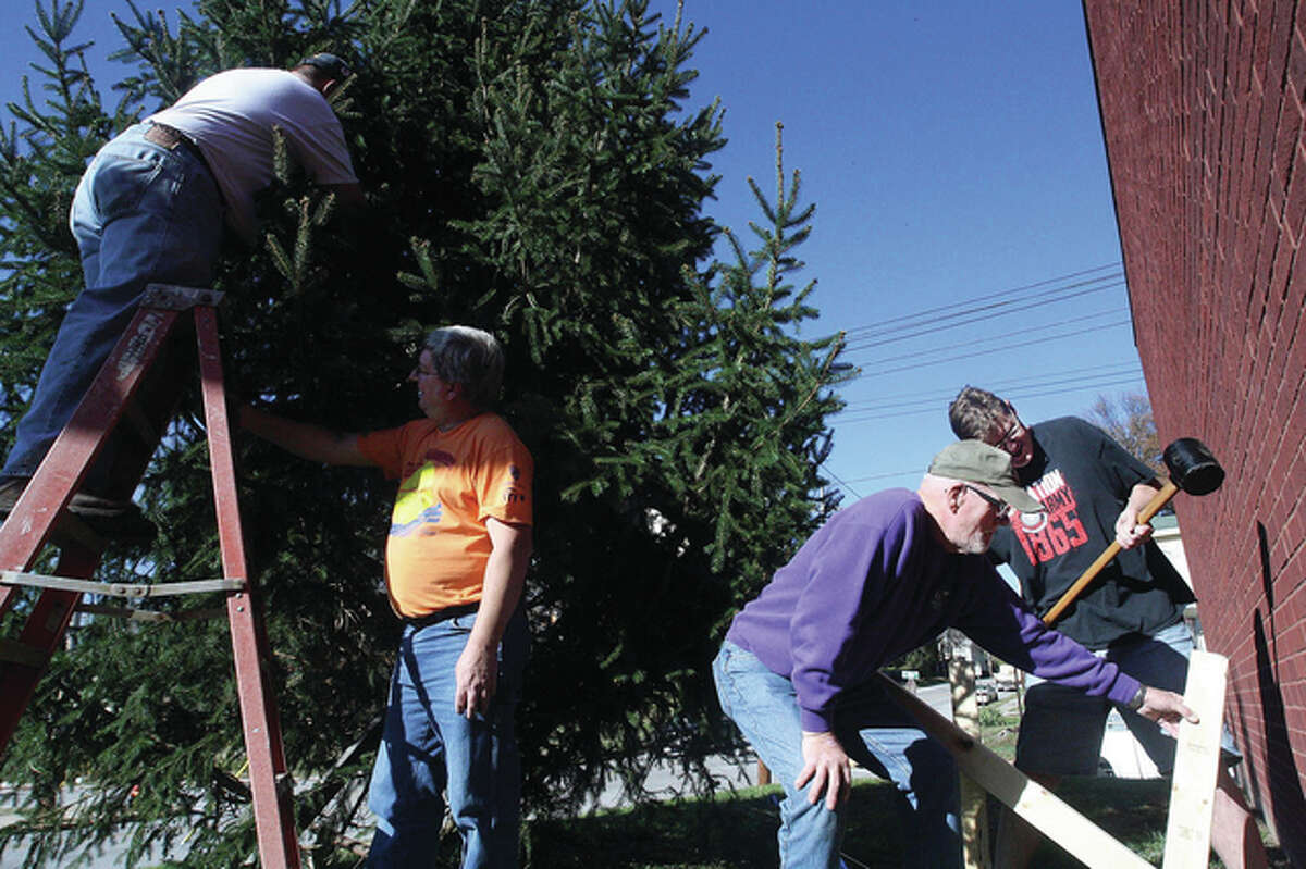 Volunteers, from left, Greg Gelzinnis, Mike Short, Dean Lackey and Salvation Army Lt. Brian Ellison work to erect a large evergreen tree Saturday at the Salvation Army offices on Alby Street in preparation for holiday decoration.