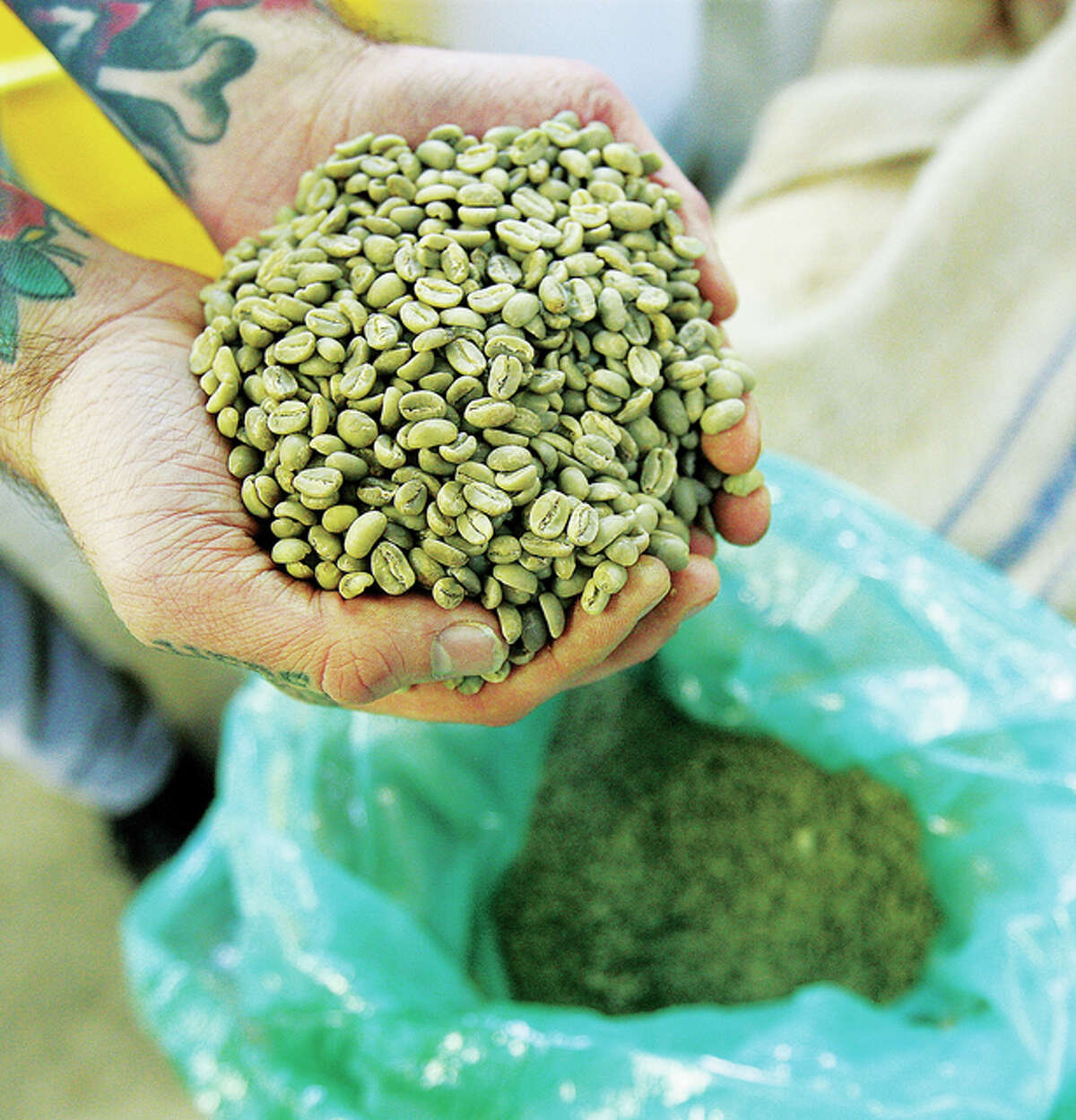 Keppel holds a handful of fresh coffee beans which before roasting are a shade of green. The roasting process, which takes around 15 minutes, enlarges the beans and gives them the brown color consumers are used to seeing. Goshen Coffee uses beans from various countries in the “coffee belt” where growing conditions are ideal like Columbia, Costa Roca, Mexico and Guatemala just to name a few.