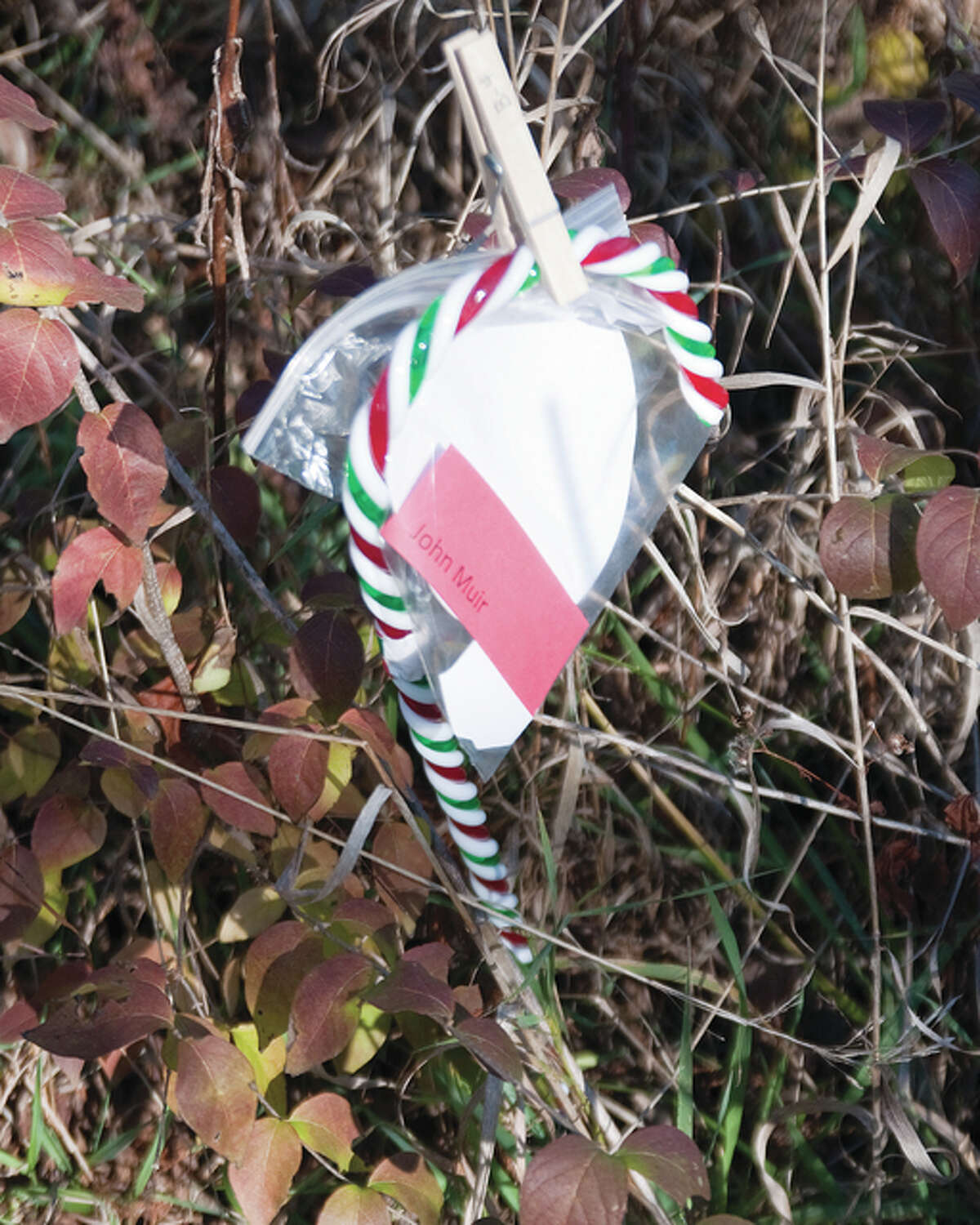 The Candy Cane Challenge was held on Saturday morning at The Nature Institute. Teams were able to use a GPS locator or a compass out on The Nature Institute Trails, to locate all of the eight candy canes.