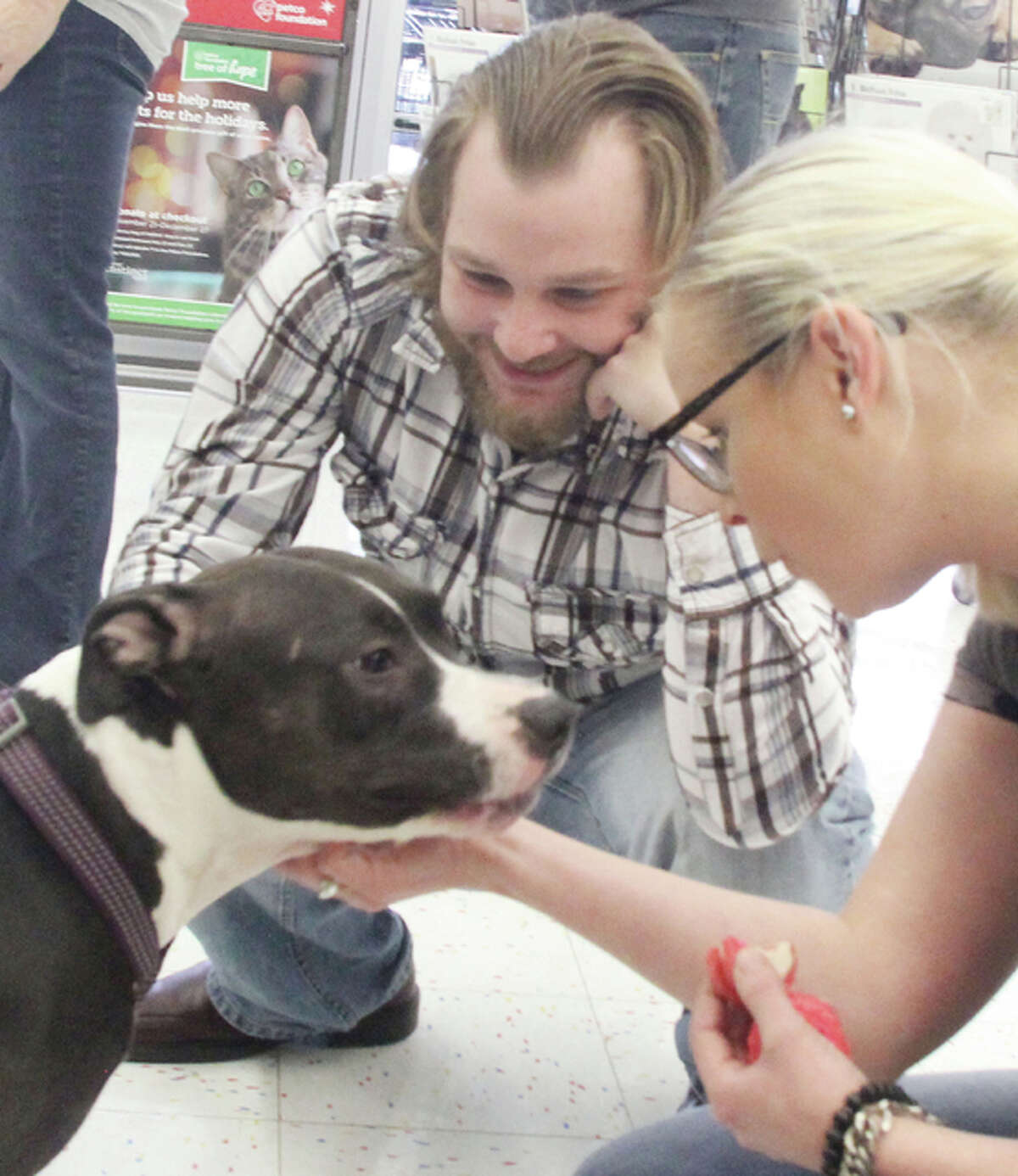 Derrick Kohlenberger, of Arnold, Mo., and his fiance, Jes Murphy, pet Dottie, a pit bull/boxer/lab mix he recently adopted from Pound Pets Inc., a Granite City-based animal rescue group.