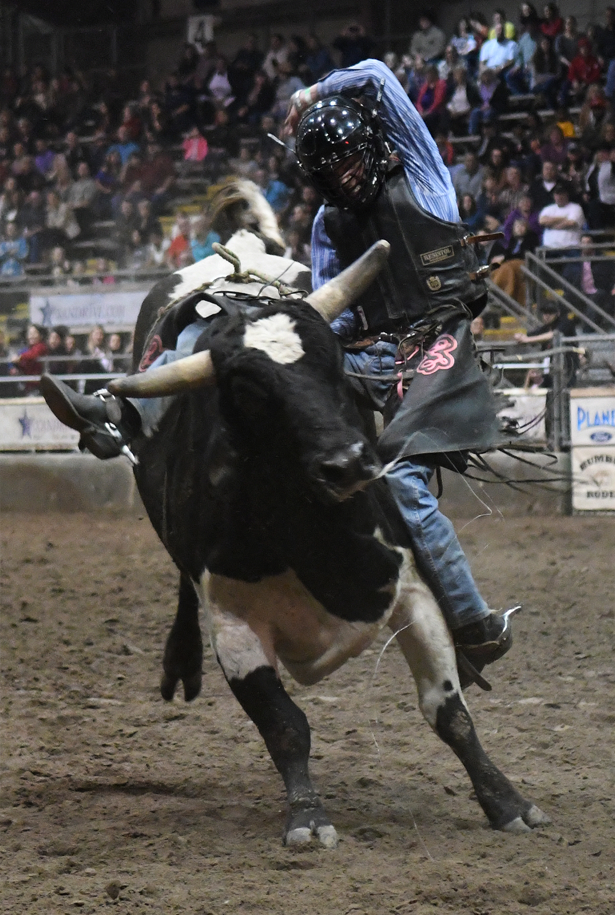 Humble Rodeo shows off local talent