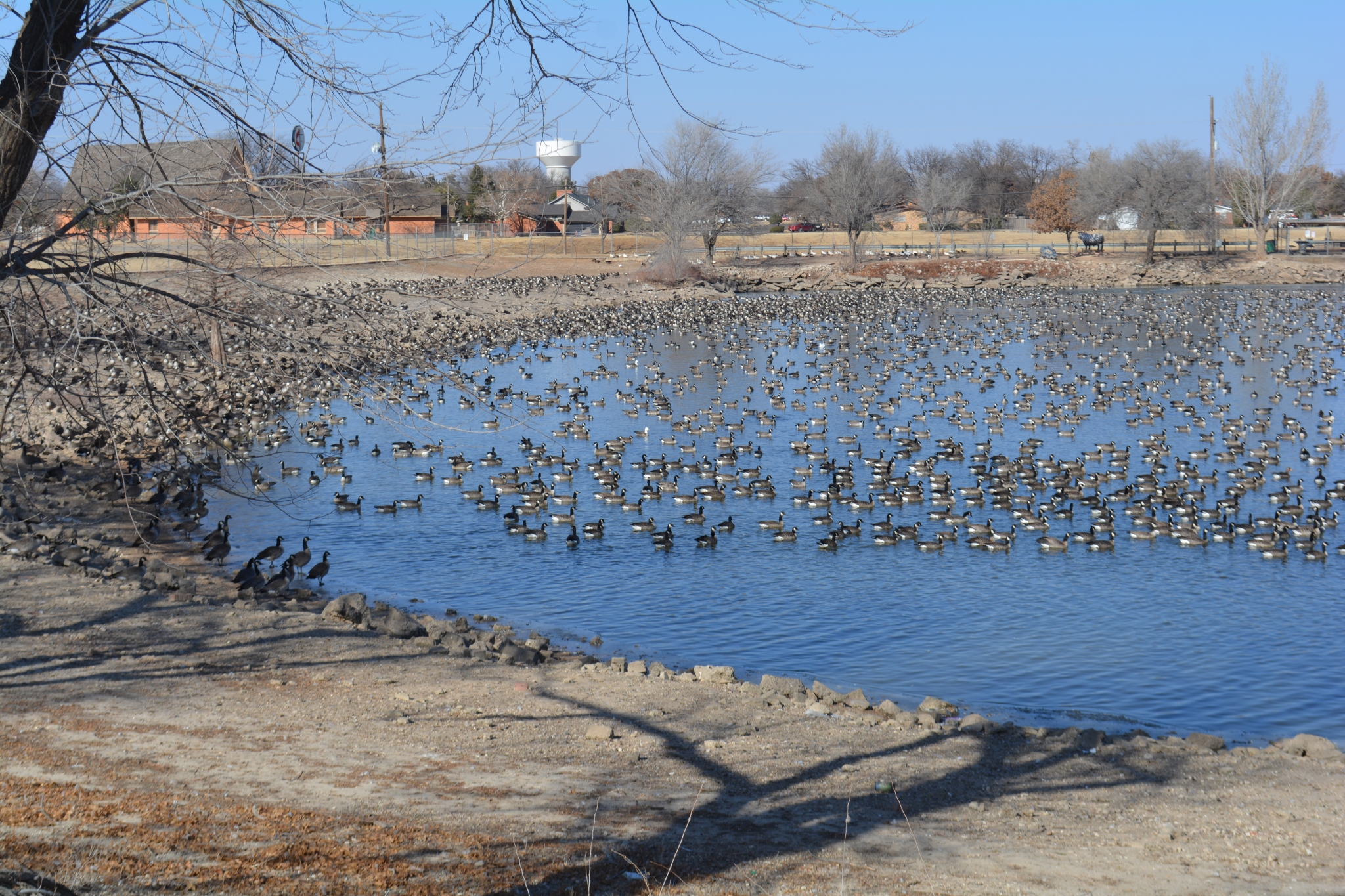 Plainview officials discuss multipurpose facility, duck pond