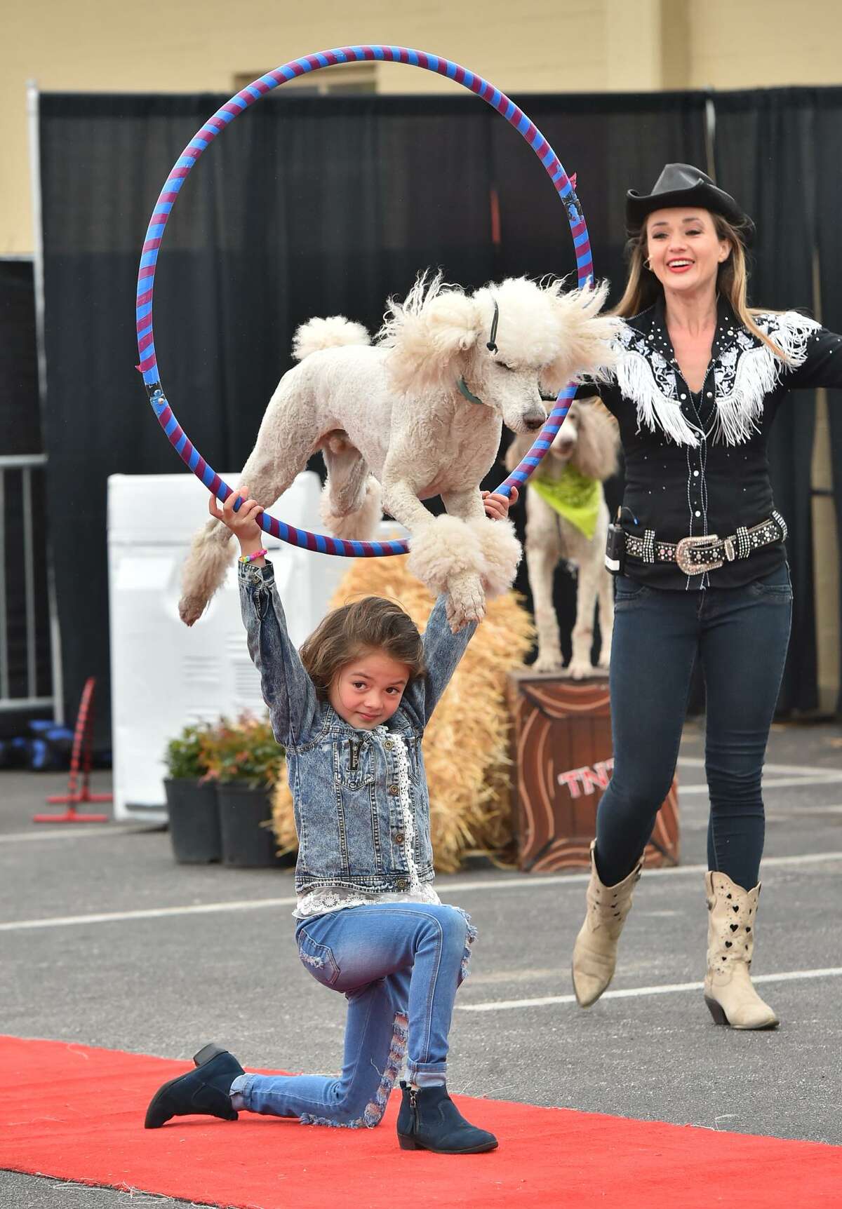 Katerina Pompeyo has a show poodle soar over her head as her mother, Natalya Pompeyo looks on. The Pompeyo Family Dog Show is one of the new attractions at this year's San Antonio Stock Show & Rodeo. The show, which has toured in the U.S., Canada and the Caribbean, is running through Tuesday at the Family Fair area.