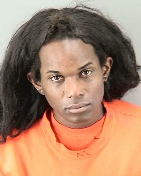 Defendant pleads not guilty to throwing dog to its death in SF