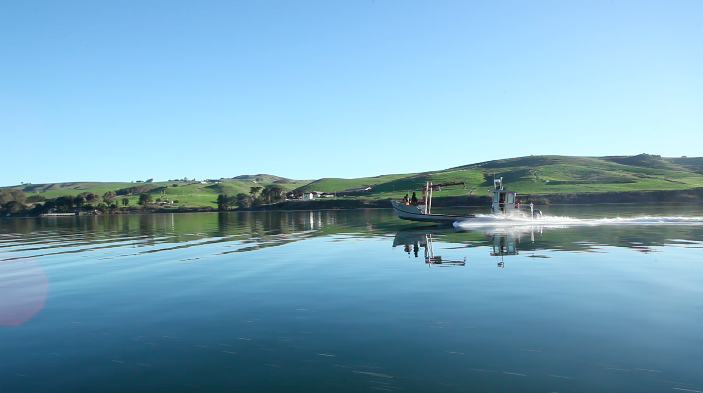 tomales men Sonoma county sheriff's office deputies safely rescued a stranded kayaker in tomales bay on saturday. tomales men Sonoma county sheriff's office deputies safely rescued a stranded kayaker in tomales bay on saturday.