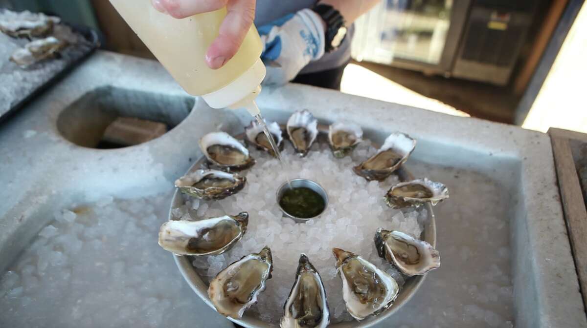 Out on Tomales Bay with Hog Island Oyster Co. Here's how 3.5M oysters
