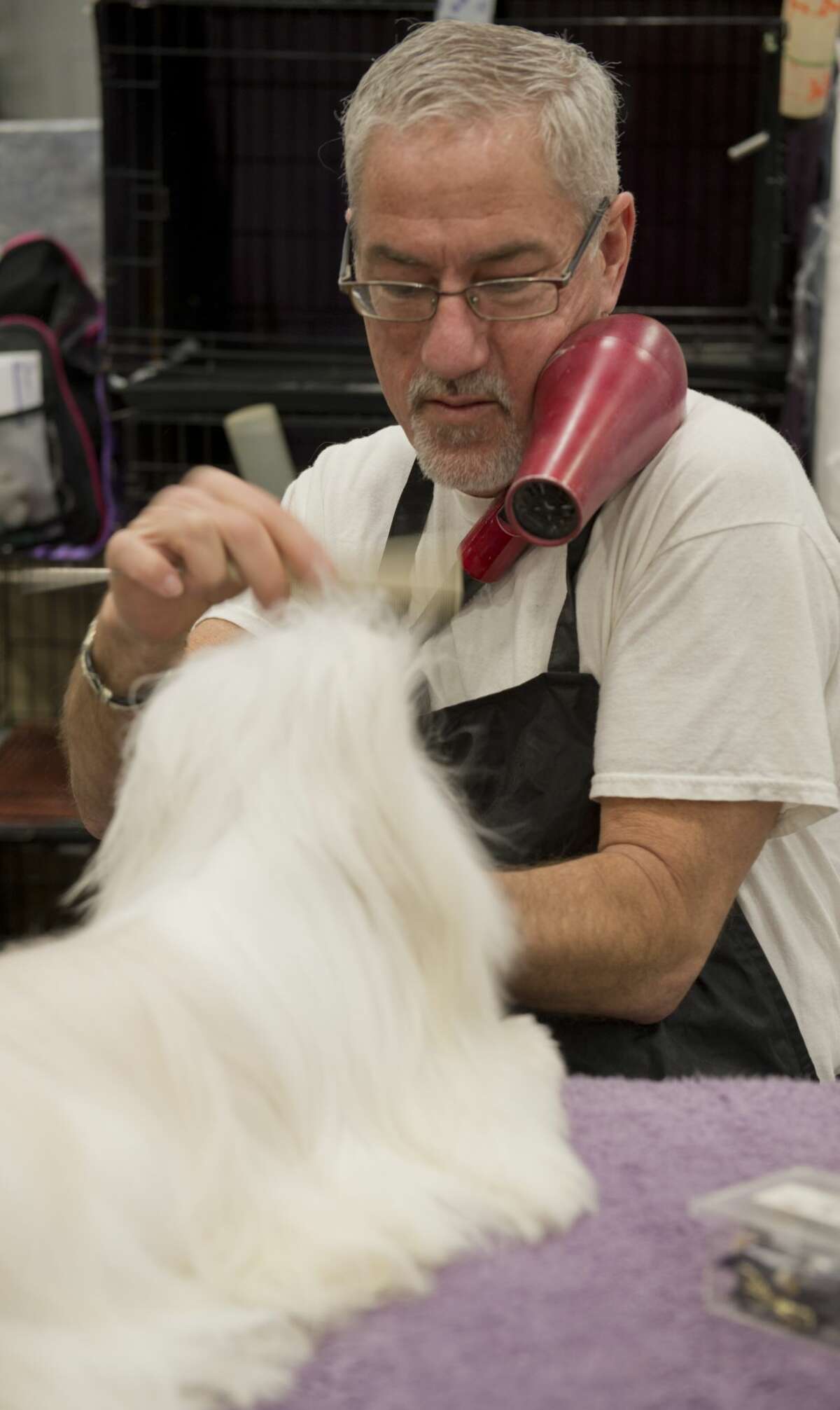 West Texas and Big Spring Kennel Club's Dog Show