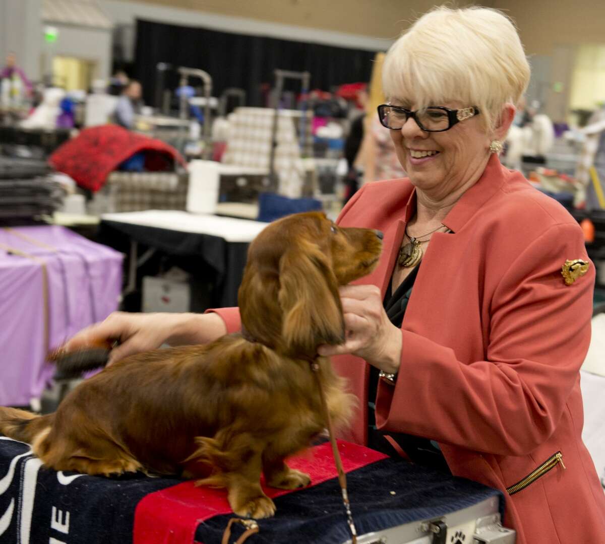 West Texas and Big Spring Kennel Club's Dog Show