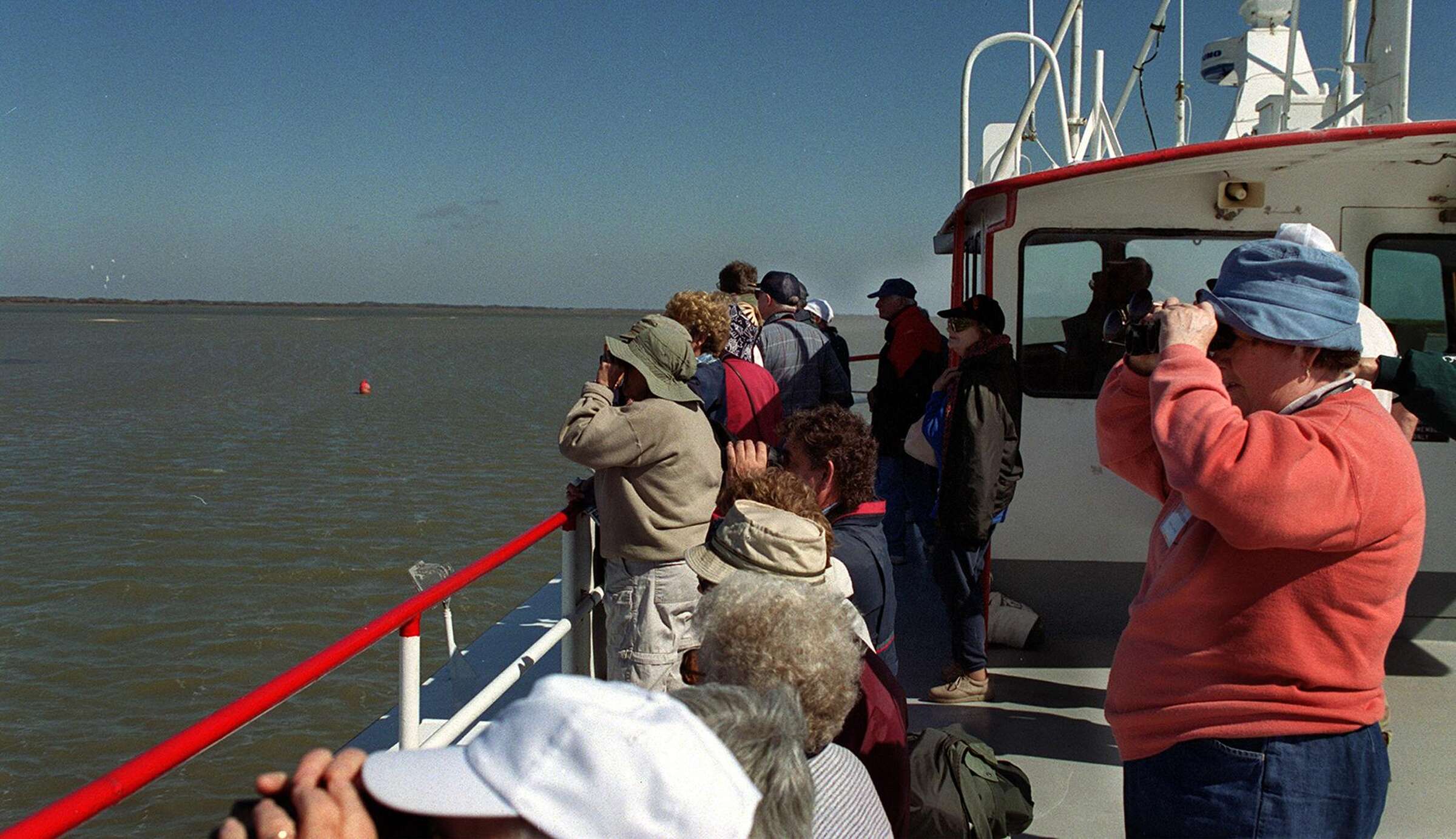 Whooping cranes are back for annual Port Aransas festival