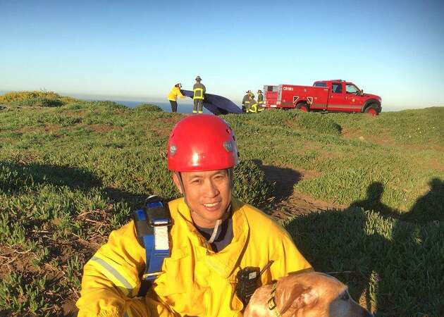 SF firefighters rescue 2 dogs that fell off a cliff